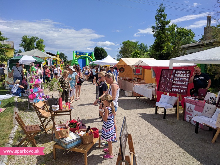 kreativny-piknik-v-hrubej-borsi-leto-2016-3