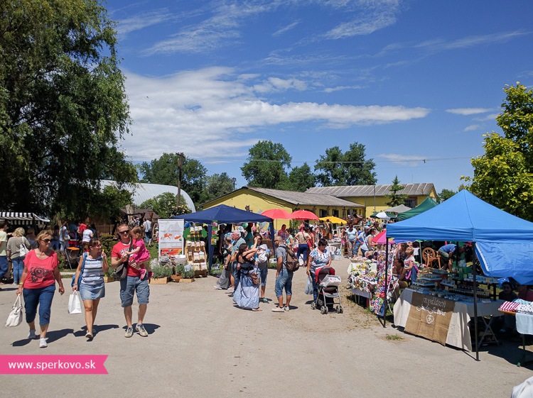 kreativny-piknik-v-hrubej-borsi-leto-2016-9