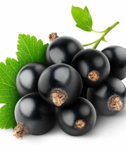 Vôňa do mydla, sviečok a kozmetiky čierne ríbezle